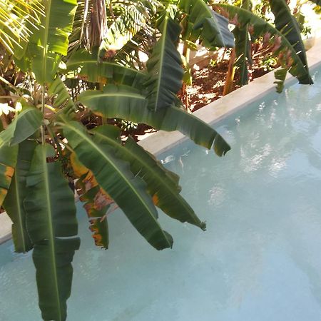 Bed and Breakfast Kobe House Jambiani  Esterno foto